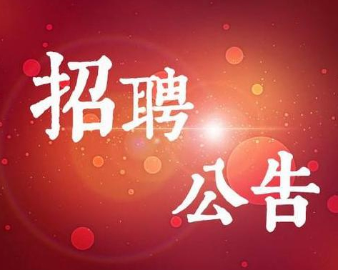 爱游戏官网进入黄河三角洲人力资源开发中心招聘爱游戏官网进入人员简章